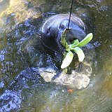 Costa Rica20150401-2033-0699